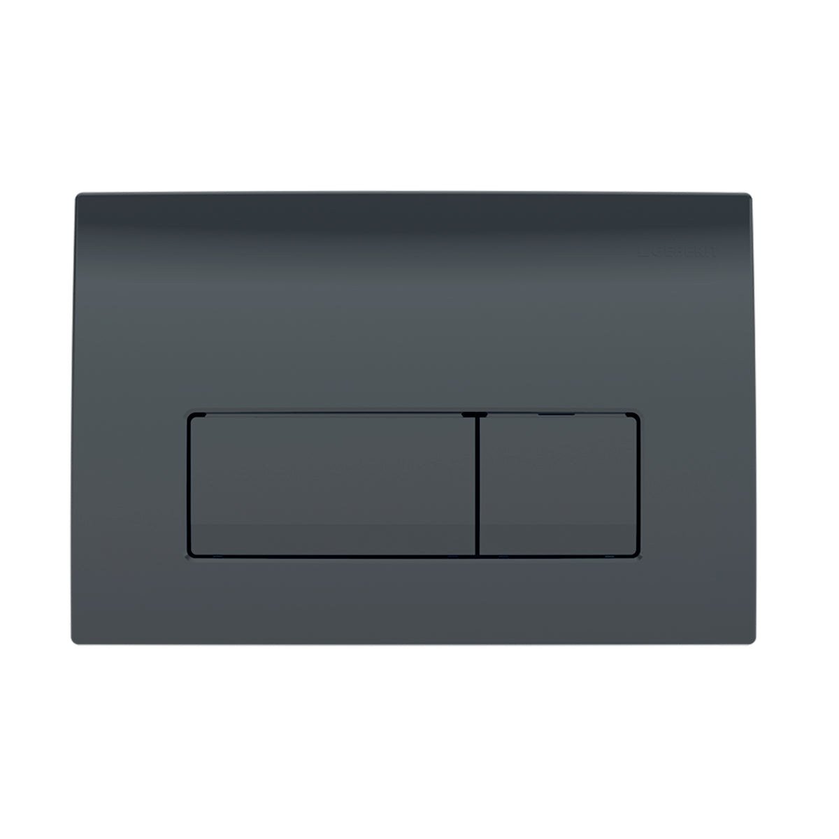 Plaque de déclenchement Delta50 Geberit | 2 Finition noire