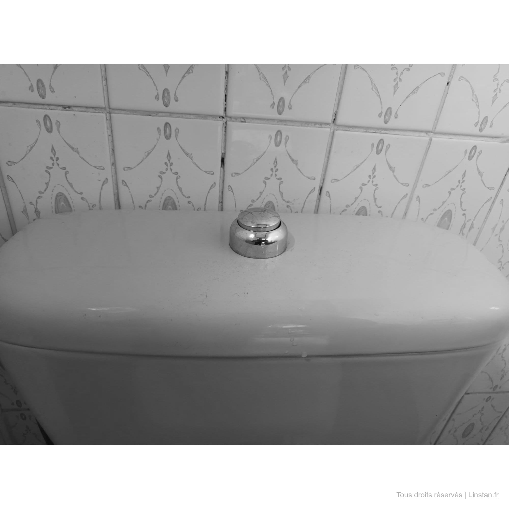 Réservoir Porcher Aspirambo avec type 220 Geberit 240.160.00.1