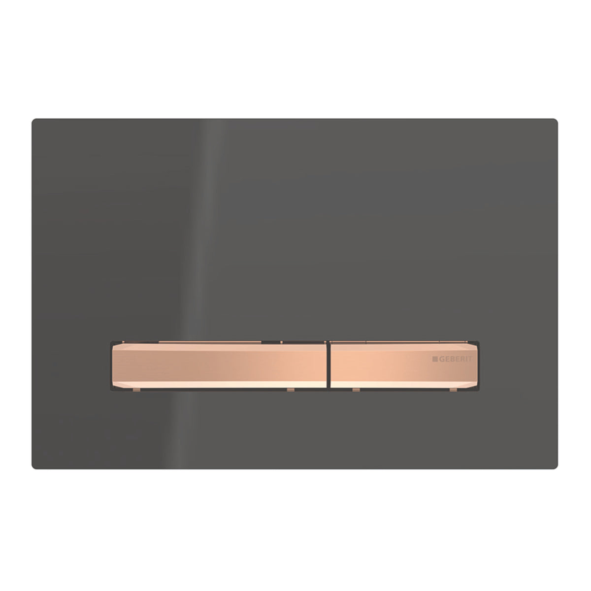 Geberit Sigma50 flush plate | 4 black finishes