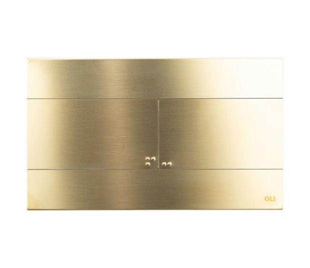 Plaque de déclenchement Slim Regiplast / Oli | Réf: 888565 | Inox brossé, plaqué or