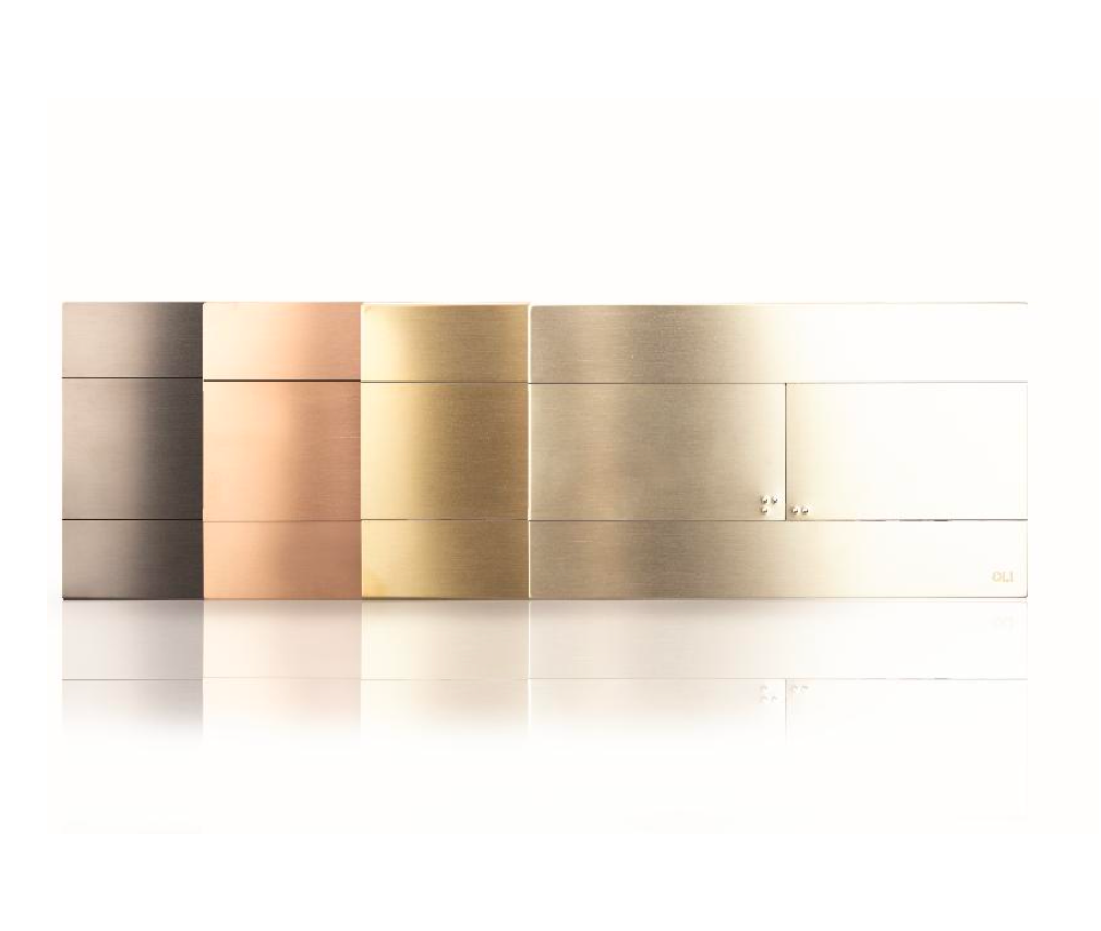 Plaque de déclenchement Slim Regiplast / Oli | Réf: 888565 | Inox brossé, plaqué or