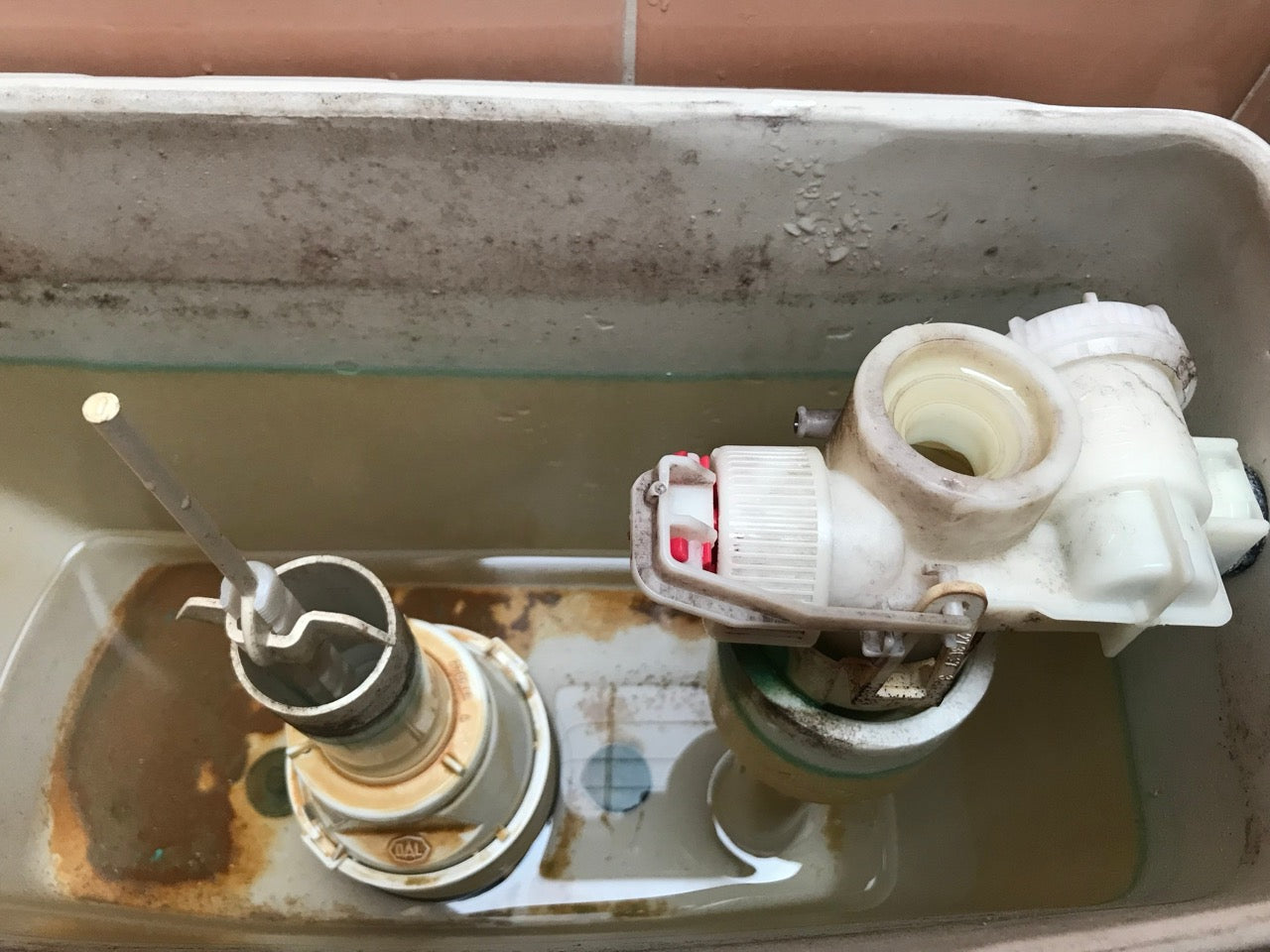 Soupape Servo GROHE pour réservoir apparent | Ref 37497PI0 | Bouton-poussoir chromé mat