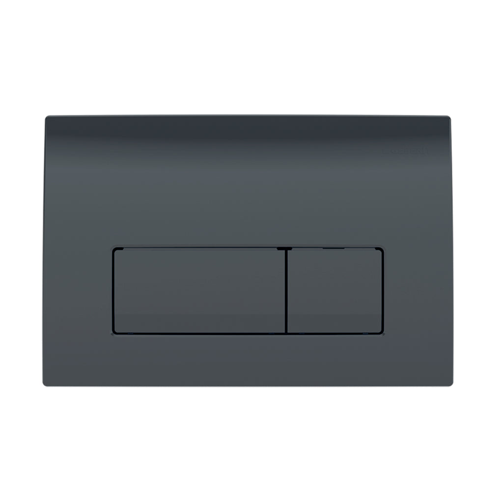 Plaque De Déclenchement Geberit Delta50 - Double Commande WC 24.6x16.4cm - Noir/blanc/argent